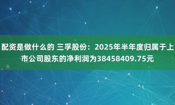 配资是做什么的 三孚股份：2025年半年度归属于上市公司股东的净利润为38458409.75元