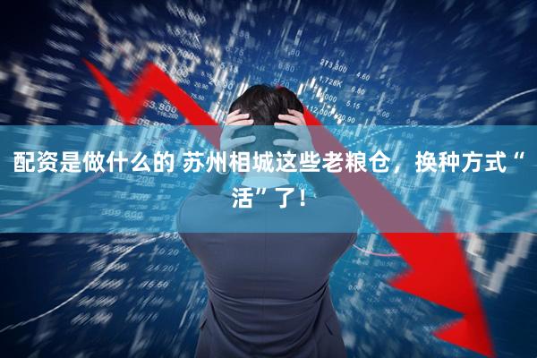 配资是做什么的 苏州相城这些老粮仓，换种方式“活”了！