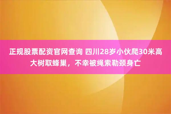 正规股票配资官网查询 四川28岁小伙爬30米高大树取蜂巢，不幸被绳索勒颈身亡