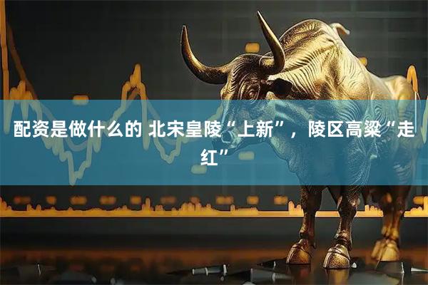 配资是做什么的 北宋皇陵“上新”，陵区高粱“走红”