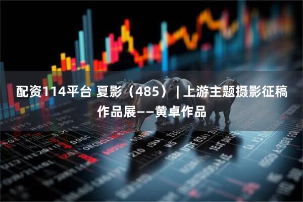 配资114平台 夏影（485） | 上游主题摄影征稿作品展——黄卓作品