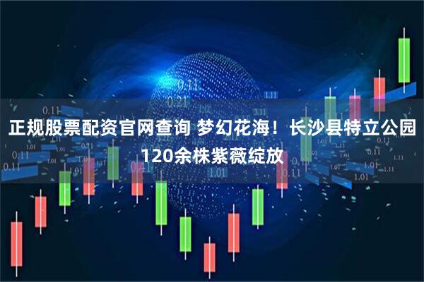 正规股票配资官网查询 梦幻花海！长沙县特立公园120余株紫薇绽放